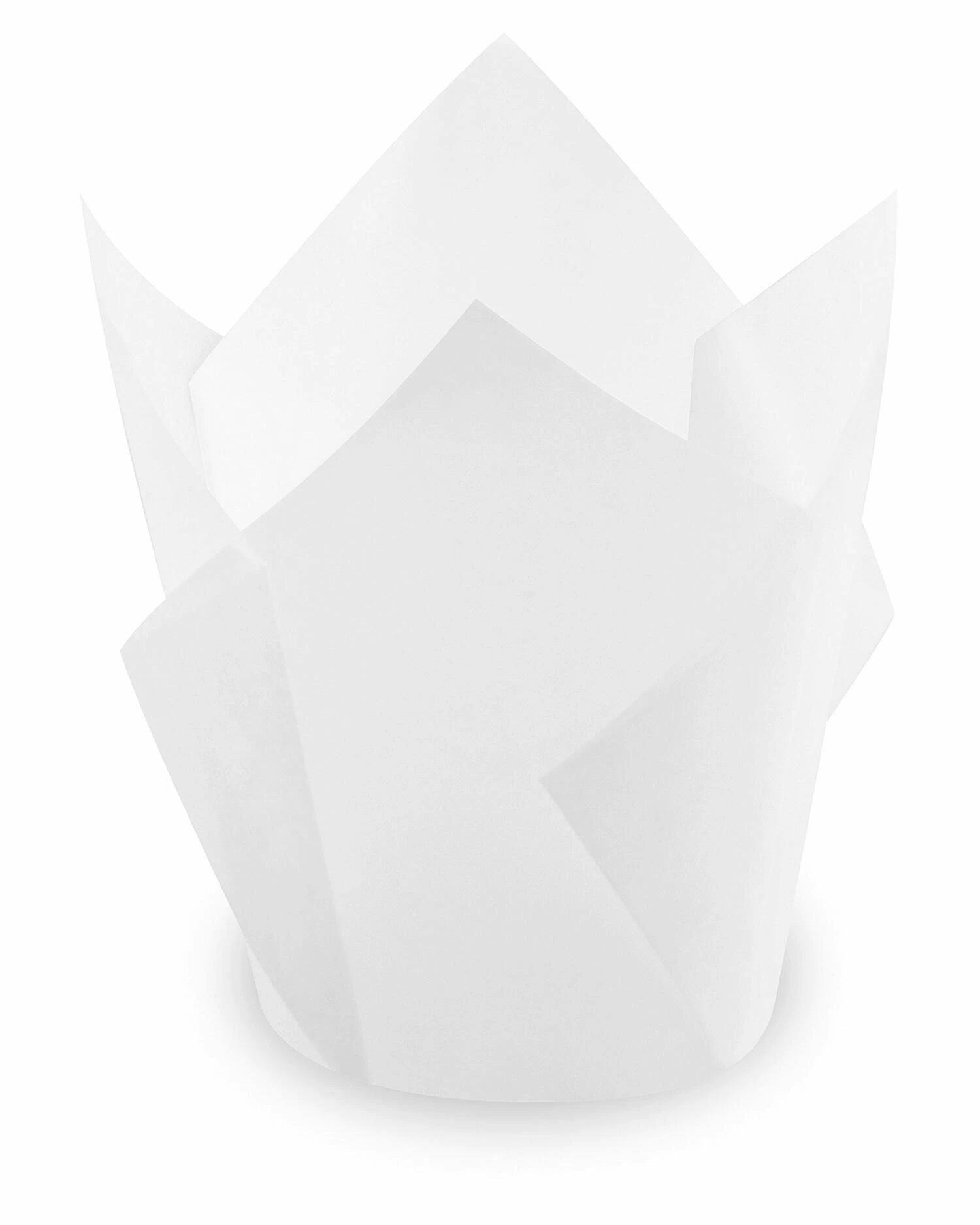 1000x Muffin-Tulip-Wraps Weiß 160x160 Mm 4 1000x Muffin-Tulip-Wraps Weiß 160x160 Mm – Bild 2