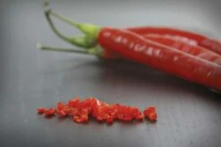 Alligator Mini Chopper Gemüseschneider, Zwiebelschneider Knoblauchschneider Kleine Würfelchen 11 Alligator Mini Chopper Gemüseschneider, Zwiebelschneider Knoblauchschneider Kleine Würfelchen -Backzeug Laden 646f167c 0bab 4764 b20d 0f5f355a5a8c