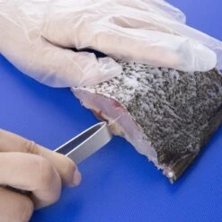 Vogue Fischgrätenpinzette -Backzeug Laden 9029a45c 783c 4b19 926a c65efbe531d8